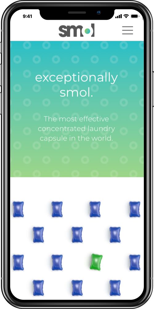 Smol mobile screen 3 - LinedUp - Shopify / Recharge subscription